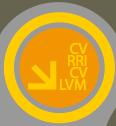 curriculum